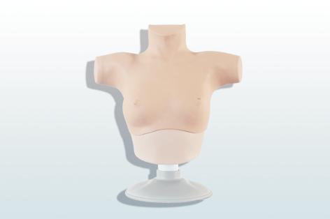 乳腺癌觸診、視診訓(xùn)練模型